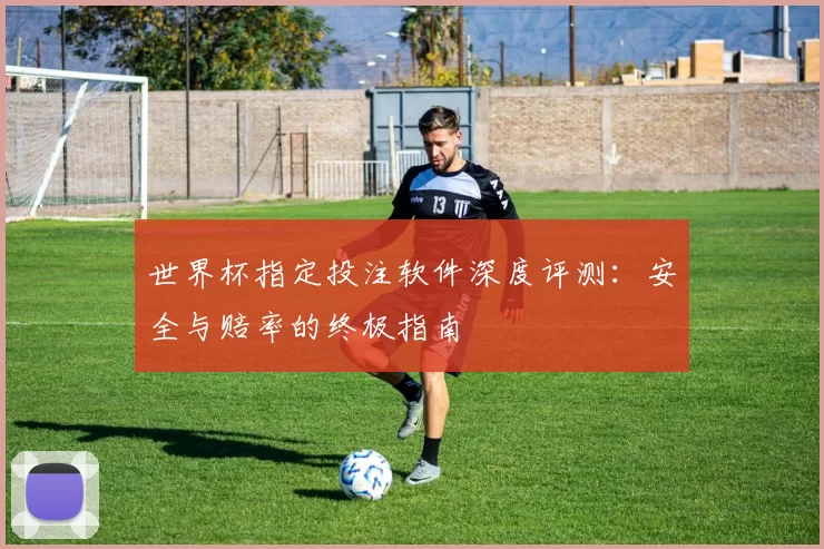 世界杯指定投注软件深度评测：安全与赔率的终极指南