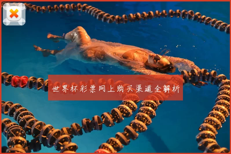 世界杯彩票网上购买渠道全解析
