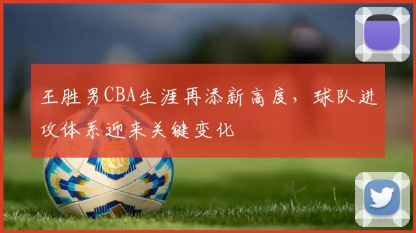 王胜男CBA生涯再添新高度，球队进攻体系迎来关键变化