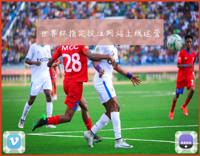 世界杯指定投注网站上线运营