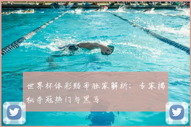 世界杯体彩赔率独家解析：专家揭秘夺冠热门与黑马