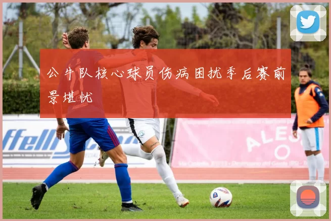 公牛队核心球员伤病困扰季后赛前景堪忧