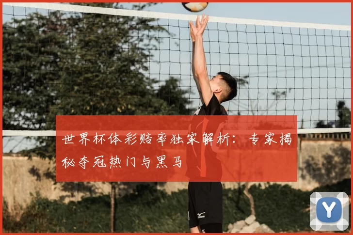世界杯体彩赔率独家解析:专家揭秘夺冠热门与黑马