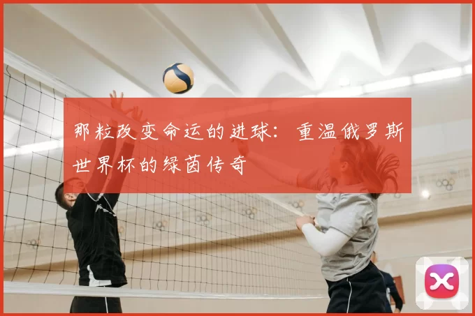 那粒改变命运的进球:重温俄罗斯世界杯的绿茵传奇