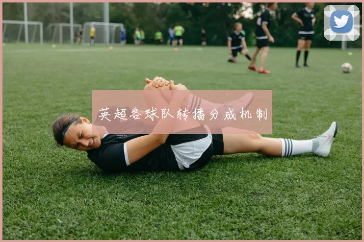 英超各球队转播分成机制