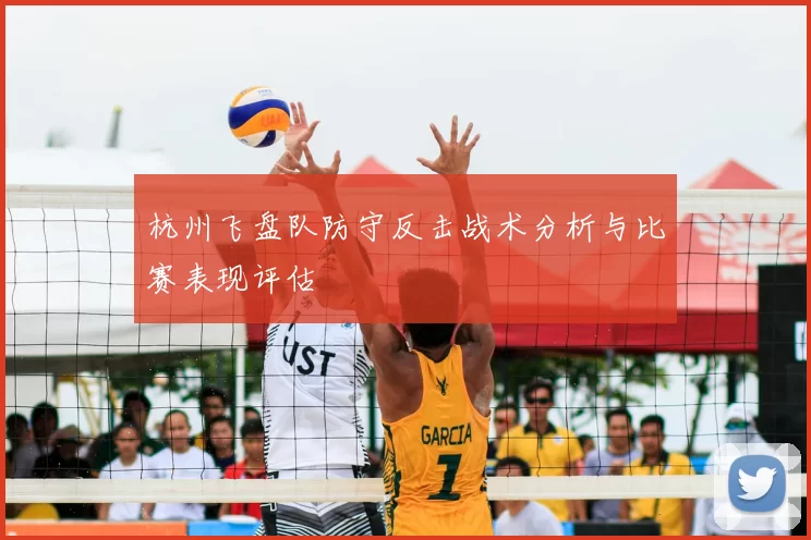 杭州飞盘队防守反击战术分析与比赛表现评估